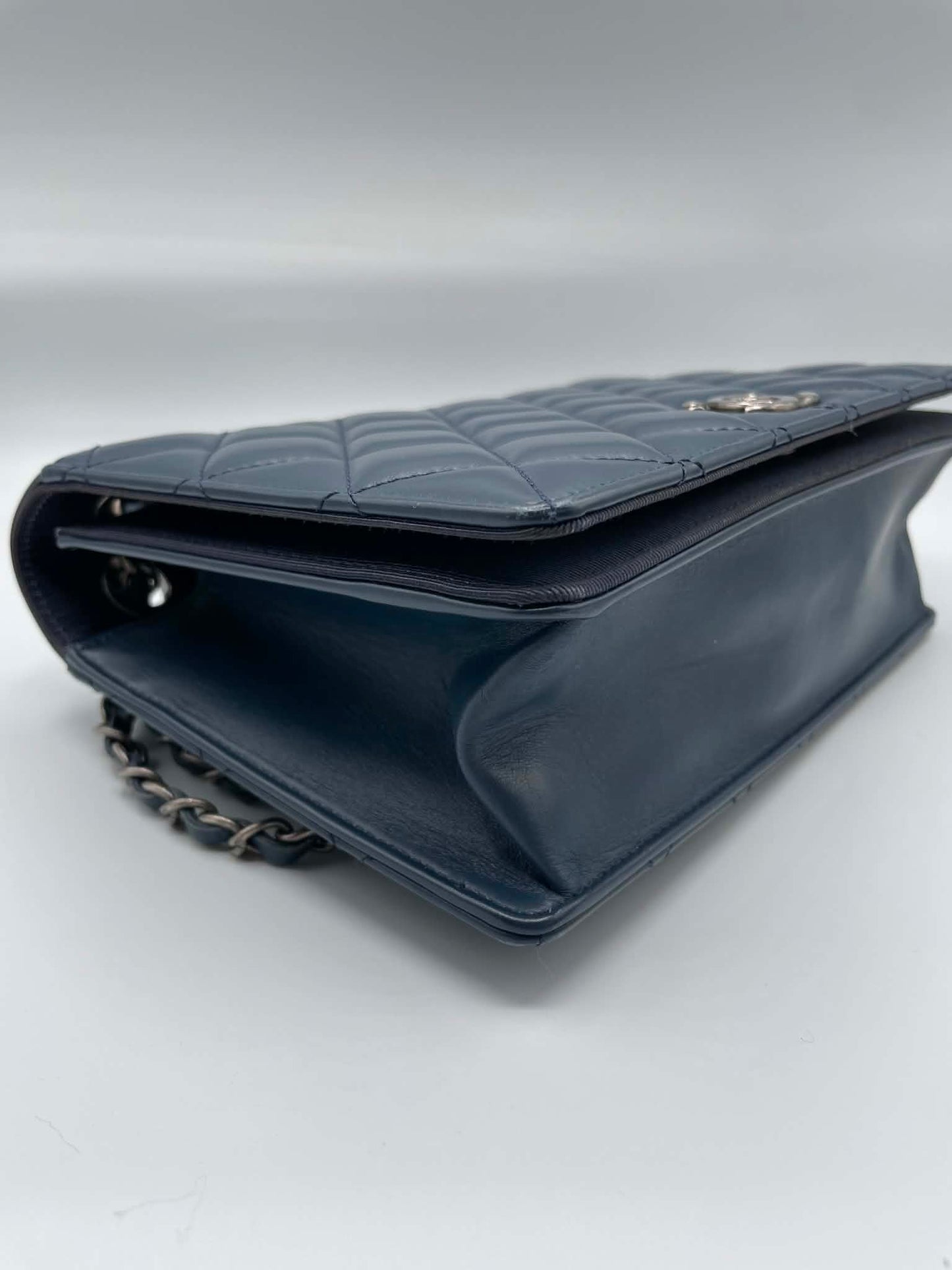 Chanel Quilted Ballerine Flap Bag