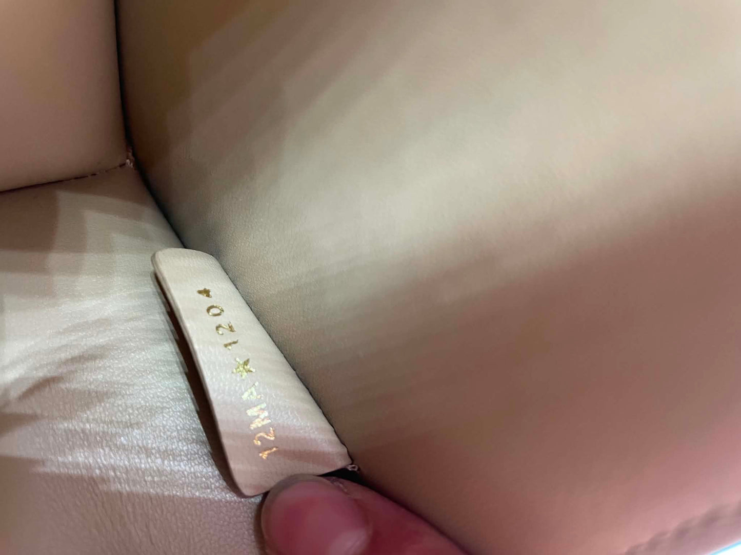 Dior Miss Caro Pouch with Chain