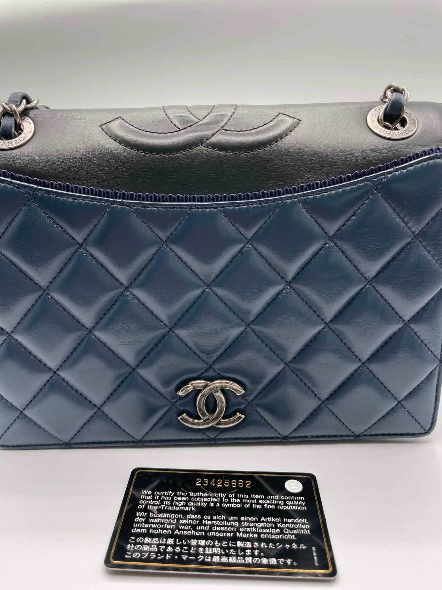Chanel Quilted Ballerine Flap Bag